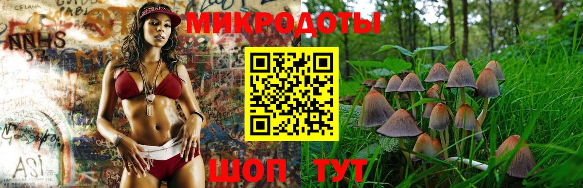 цена   Псилоцибиновые грибы Psilocybine cubensis  Вход с VPN  Галлюциногенные грибы прущие грибы  Россия 